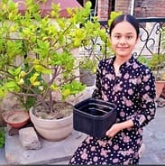 Biodegradable basket will destroy mosquitoes in a natural way