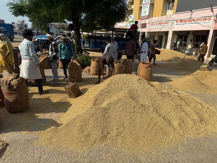 Due to rain farmers are facing double whammy, production is decreasing by 25%