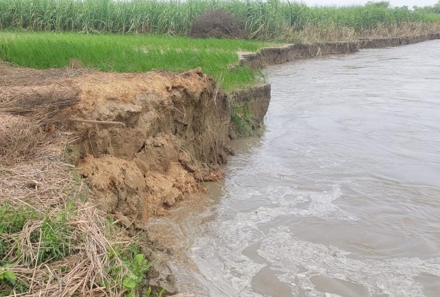 200 bigha land submerged