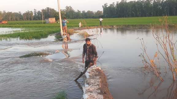 The embankment broke, hundreds of acres of paddy submerged