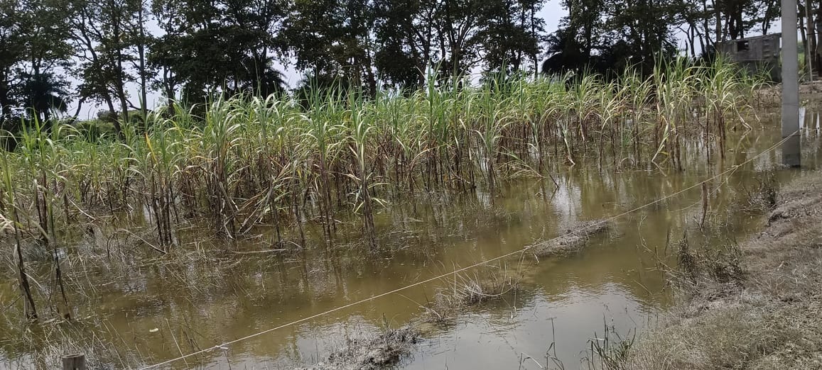 With every wave the distance between the village and the river is shrinking