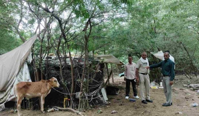 Illegal farm found on government land in Sector 33, corporation confiscated animals from the spot