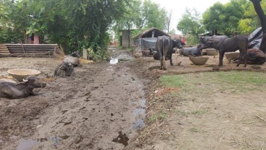 Water level decreased, but problems increased, skin disease is spreading