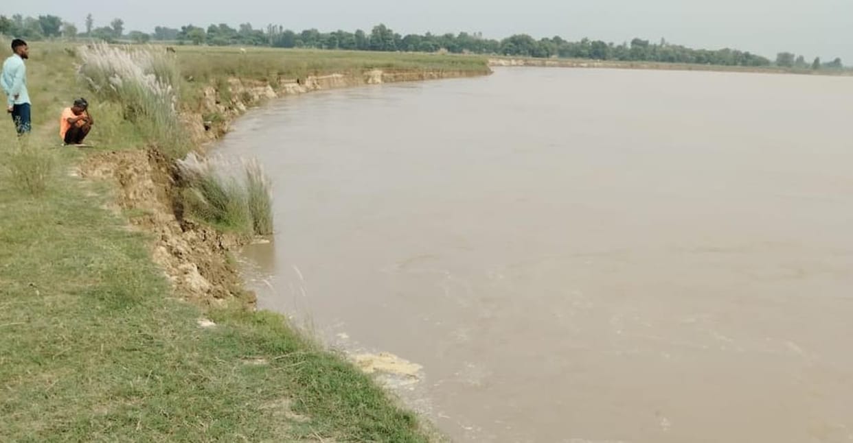 Harvesting started in Bela Kodri village, farmers protest