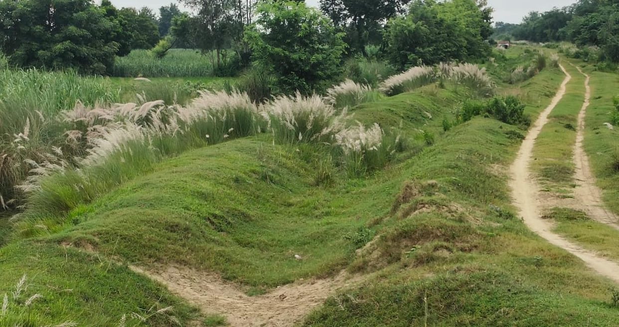 A concrete minor will be built from Mahadev Canal with an expenditure of 2.11 crores