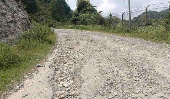 After how many more deaths on the roads will you wake up sir?