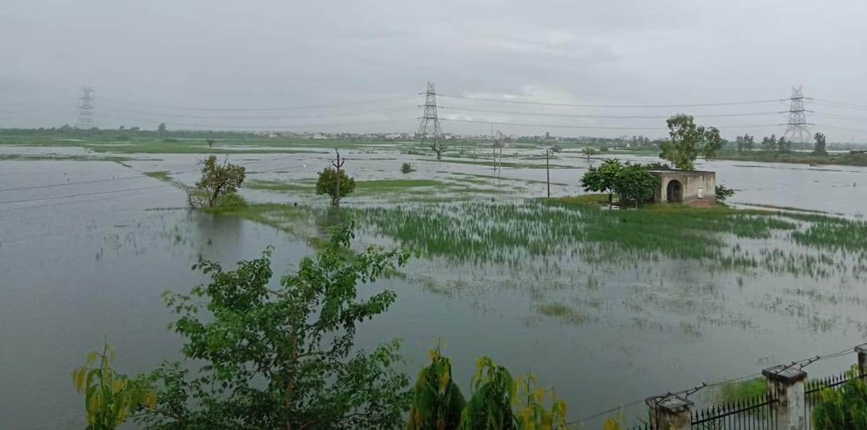 waterlogging verification will be in 6 round