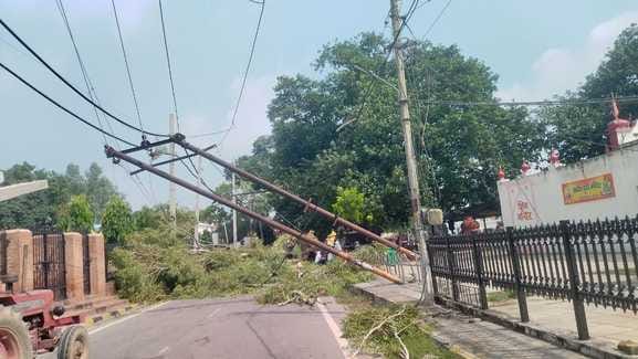 Tree fell on 11,000 KV line, power supply disrupted