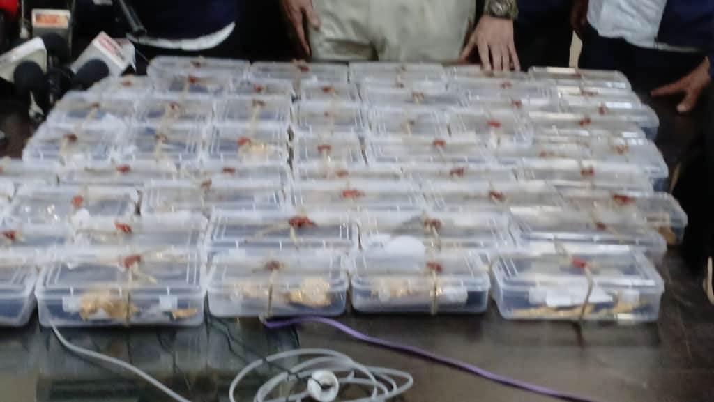 खितौला बैंक डकैती के फरार तीन आरोपियों पर दस-दस हजार का