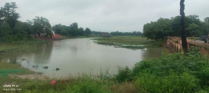 Plan to give new life to Aami who is dying without land