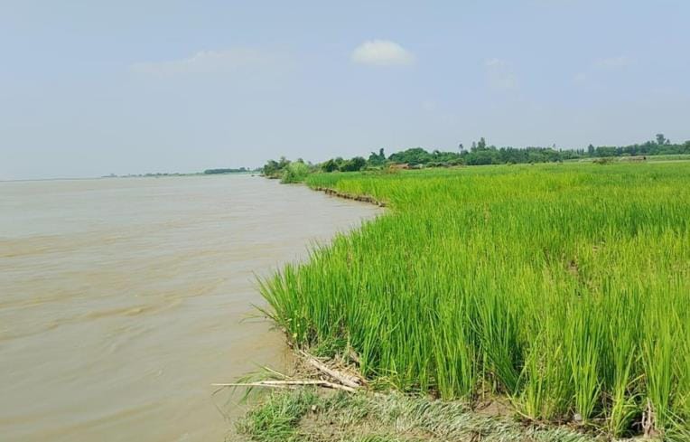 Saryu is swallowing the fields, farmers are worried about erosion