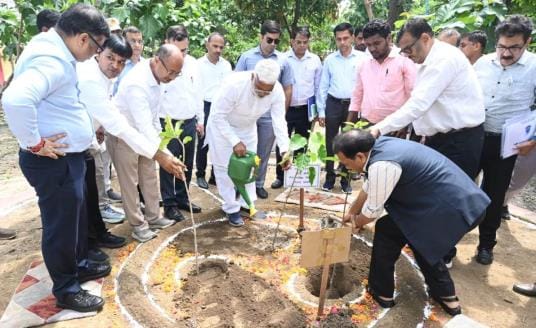 Water power minister Swatantradev planted saplings