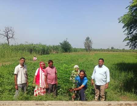 Students of Navodaya Vidyalaya planted saplings along with villagers
