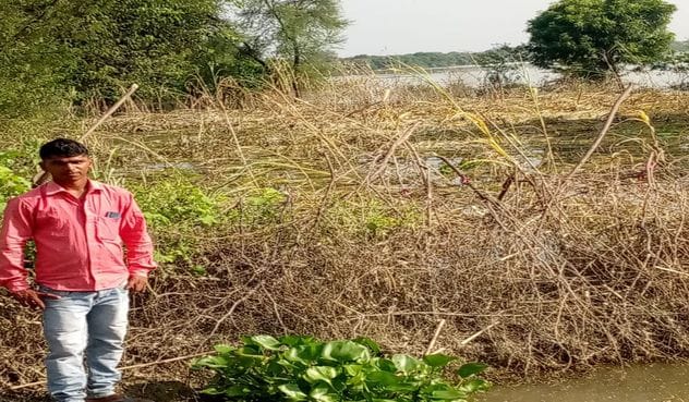Yamuna's water level decreased by 30 cm, administration will conduct a survey of the destroyed crops