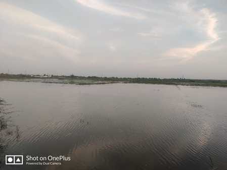Water stopped from Dhakla Minor, released towards Chandaul