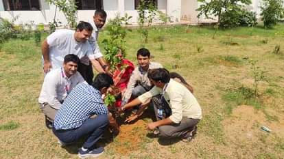 Plantation done in school premises