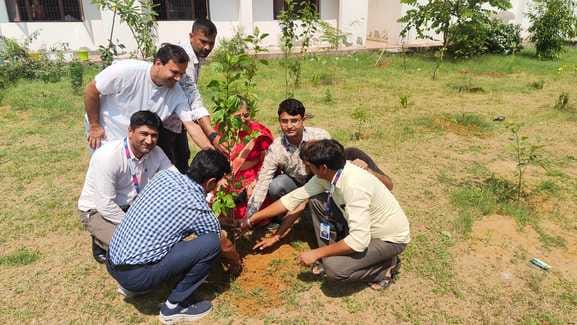 Plantation done in school premises