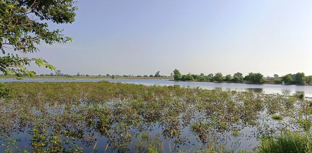 Submit the details of 104407 acres of crop damage, complain by 15th