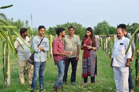 Dragon fruit cultivation inspected