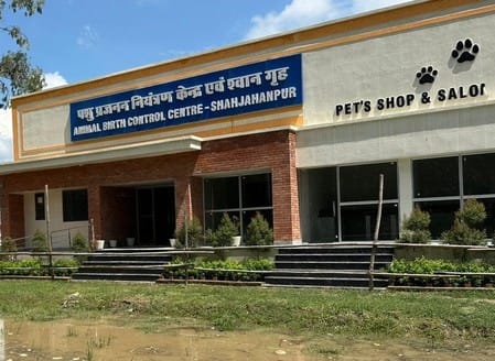 Water filled in Animal Birth Control Center...Arrangements for sterilization of dogs incomplete