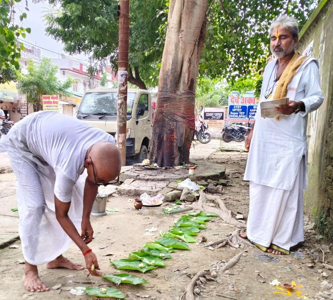 Peepal worship and offering of water to ancestors removes sins