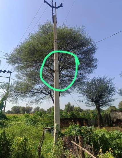 Electricity poles in BPL colony are dilapidated, danger of accident