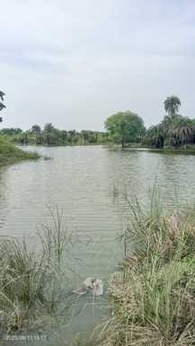 Mini check dams will be built at five places on Bhannai river