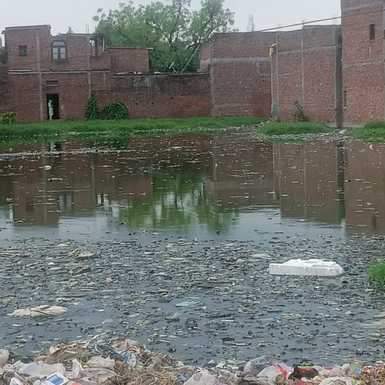 MAINPURI NEWS DENGUI