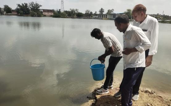 Health department put Gambusia fish in rain water