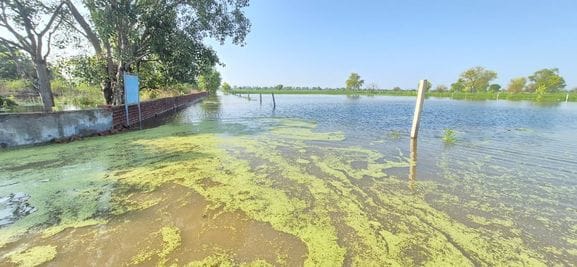 Development drowned, roads and Firni paths were washed away