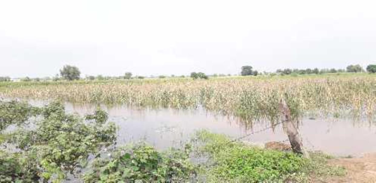 Water has entered the huts of Khedi Barki village.