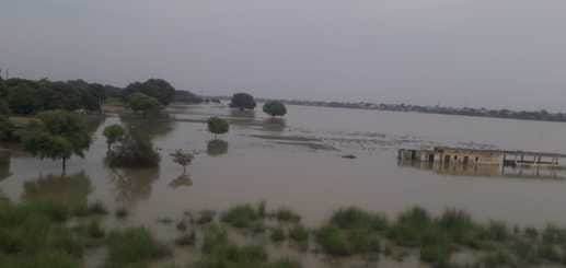 Ganga remained stable for ten hours, water level decreased by one centimeter per hour since afternoon
