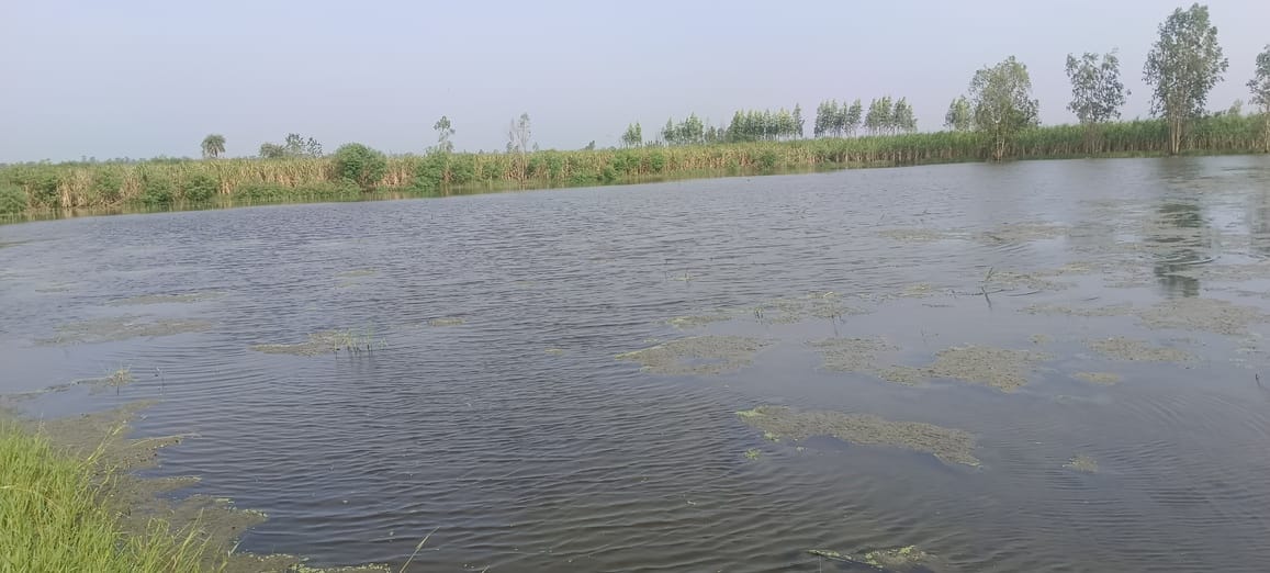 The fierce form of Ganga and torrential rain changed the picture of the village