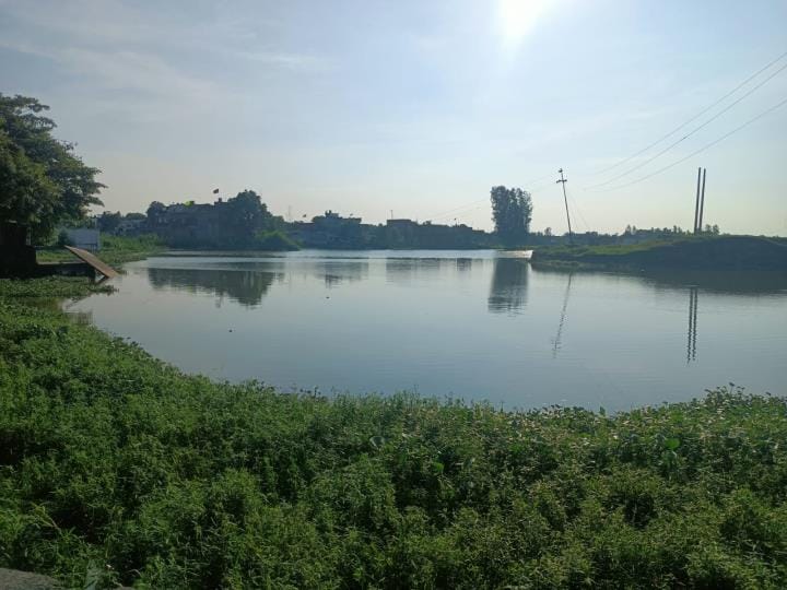 The ponds have not been renovated, their area is shrinking due to encroachment