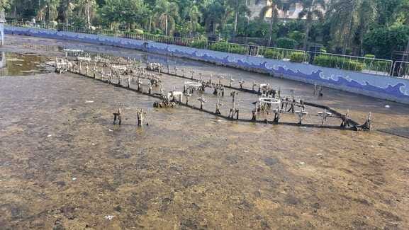 The fountain installed in Meera Ghati Park is useless, the corporation will install a new one
