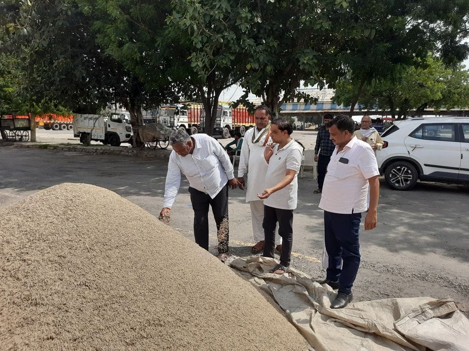 Arrival of paddy started in grain market, waiting for facilities