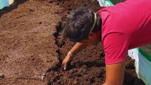 The crop flourished due to the manure of earthworm and cow dung, income doubled