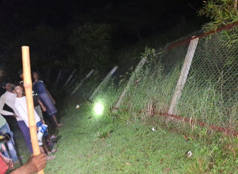 Wild elephant attacks homestay
