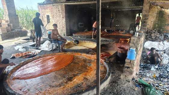 Bijnor: Young man fell into the cauldron of boiling juice while making jaggery, died in Rishikesh AIIMS