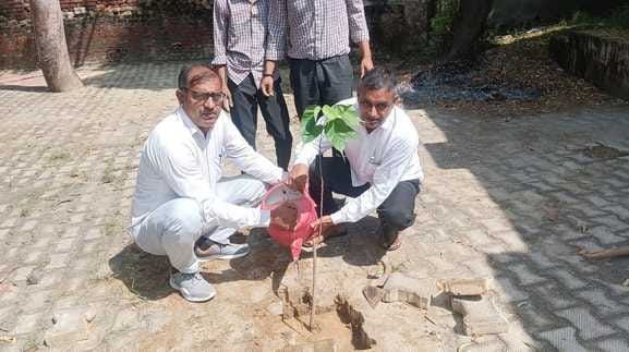Plantation campaign conducted in government school