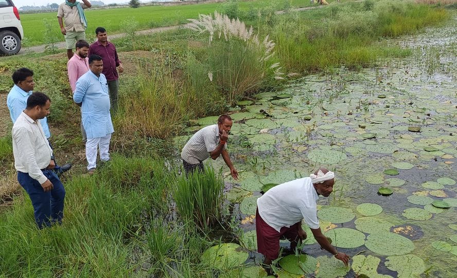 Farmers of the border will become rich by cultivating Makhana