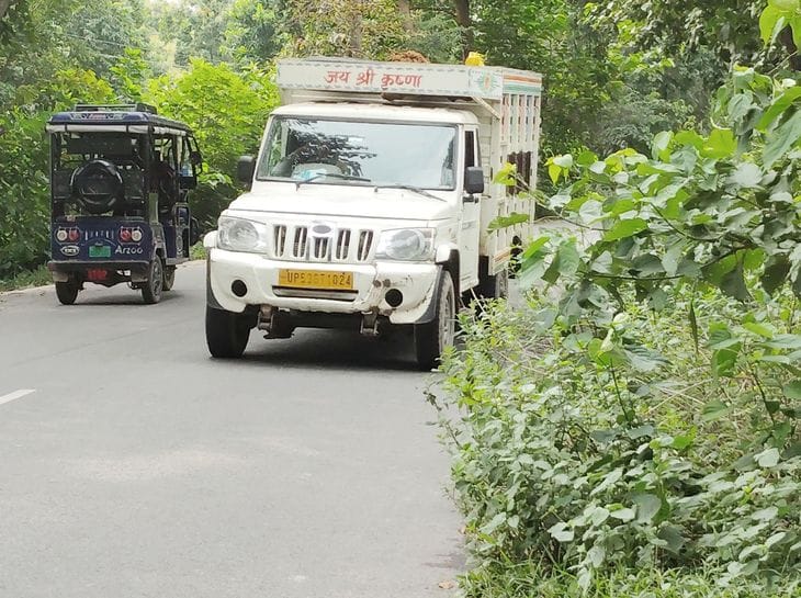 Bushes have grown on the Bansi-Dhani road, fear of accident