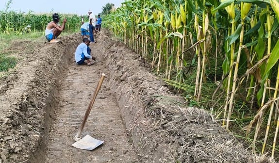 Reluctant to follow CDO's instructions, arbitrary payment made in MNREGA of seven blocks