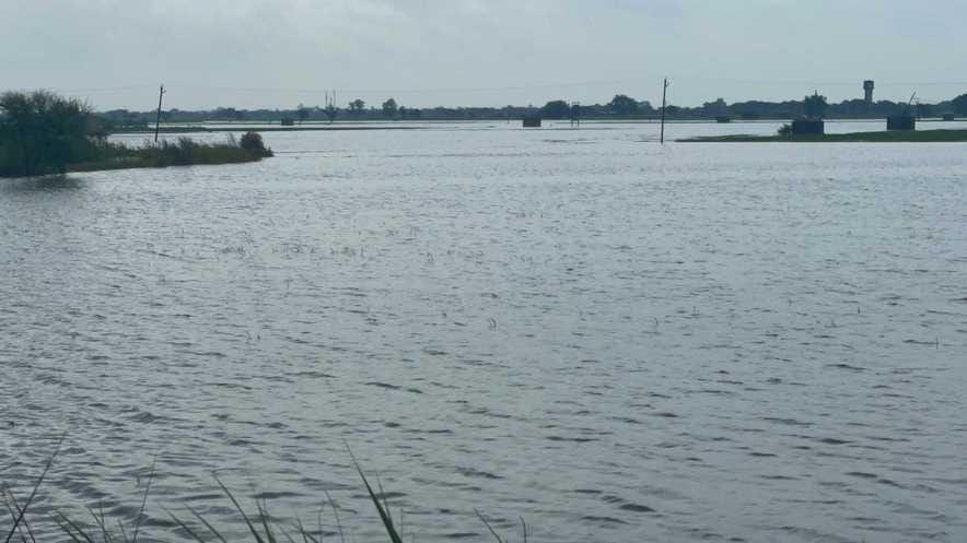 Chhudani village is in the worst condition, fields are still filled with 9 feet of water
