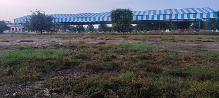 There is no cleanliness in Nangal Chaudhary grain market, farmers may face problems