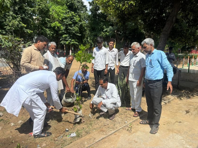 Message given about taking care of plants in Bhojavas
