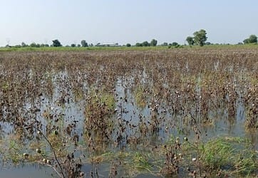 Water everywhere, no sign of help