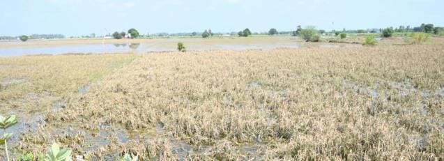 10,480 farmers applied for compensation