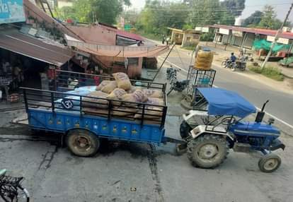 Potato seeds became costlier by Rs 100 per quintal