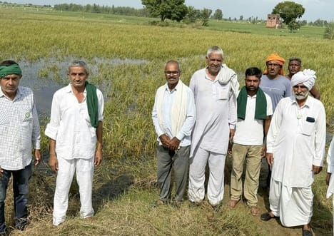 Crops damaged due to waterlogging were surveyed